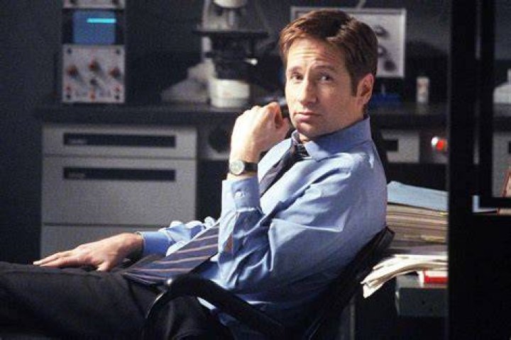 David Duchovny Is Just Getting Started