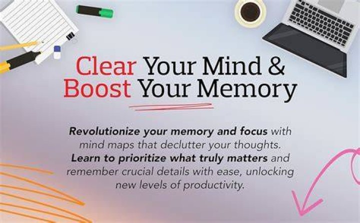 Discover The Masterminds Behind Jellybeanbrains: Unlocking Cognitive Excellence