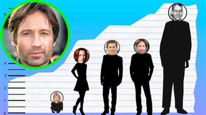 How tall is David Duchovny? Height of David Duchovny CELEBHEIGHTS™