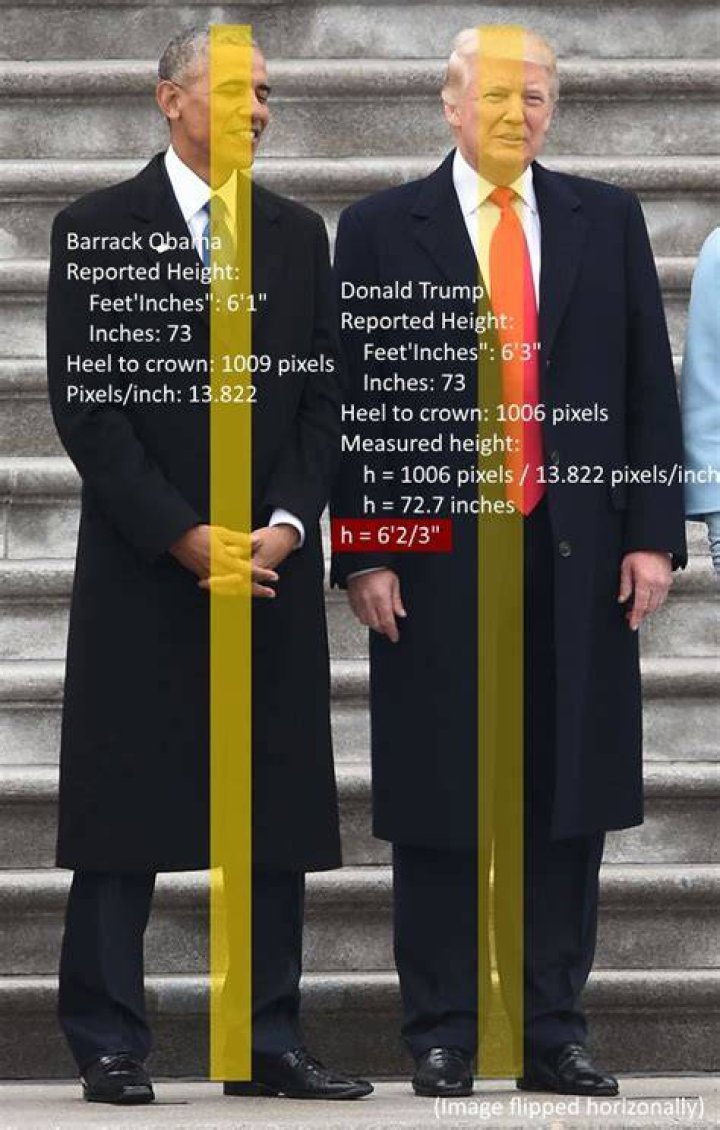 How Tall Is Donald Trump Jr.: Unveiling The Real Height