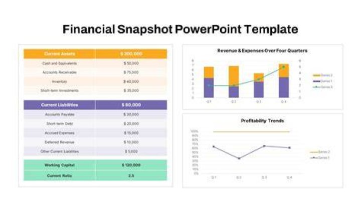 Unlock Financial Clarity: Cynthia's Financial Snapshot For Her Enterprise